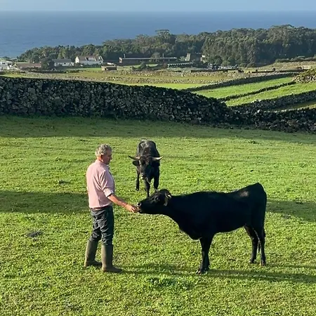 Casa De Campos Al * Angra do Heroísmo